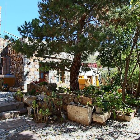 Apartmán Casa Curtos Catorce Pokoj fotografie