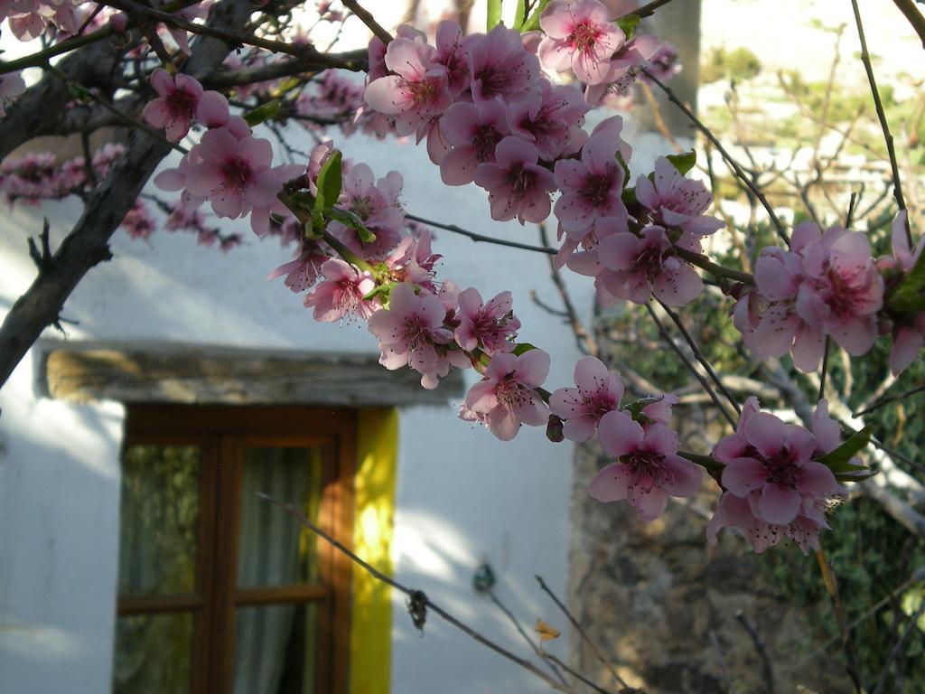 Apartmán Casa Curtos Catorce Pokoj fotografie